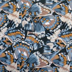 Lahjapaperi Bluewing