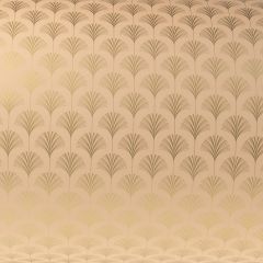 Lahjapaperi Apricot Feather